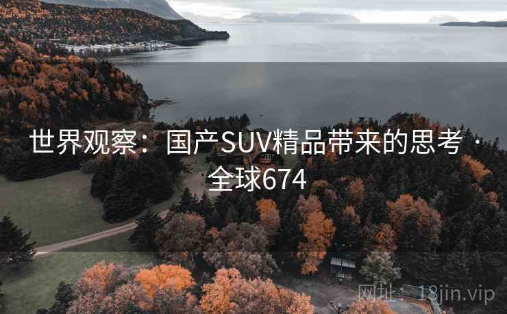 世界观察：国产SUV精品带来的思考 · 全球674  第2张