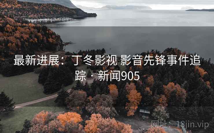最新进展：丁冬影视 影音先锋事件追踪 · 新闻905  第2张