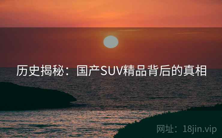 历史揭秘:国产SUV精品背后的真相 第2张 历史揭秘:国产SUV精品背后的真相 第2张